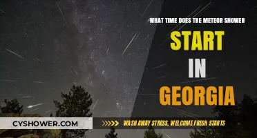 Georgia's Meteor Shower Start Time: When and Where to Watch