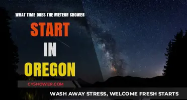 Oregon's Meteor Shower Start Time: When and Where to Watch