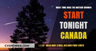 Canada's Meteor Shower Tonight: Start Time and Viewing Tips
