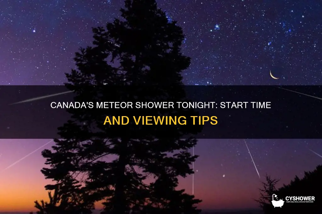 what time does the meteor shower start tonight canada