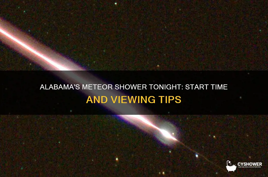 what time does the meteor shower start tonight in alabama
