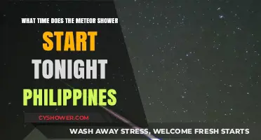 Philippine Meteor Shower Tonight: Start Time and Viewing Tips