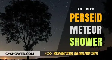 Best Time to Watch Perseid Meteor Shower This Year