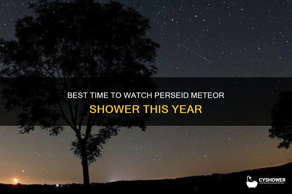 what time for perseid meteor shower