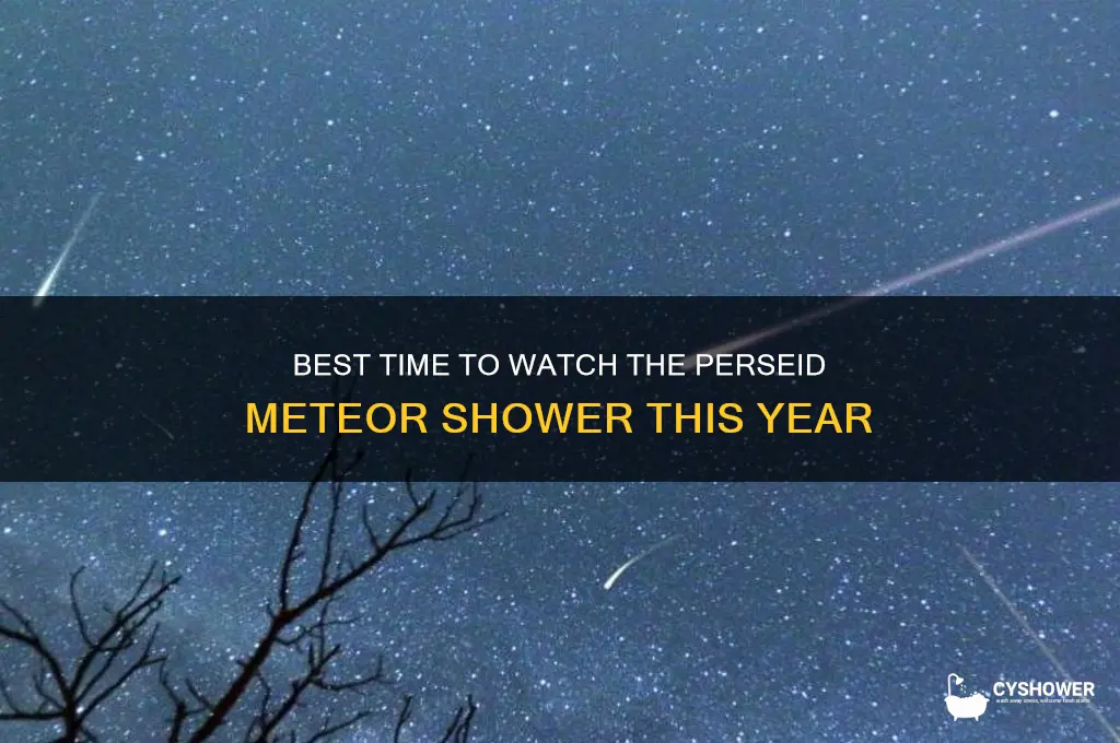 what time for persied meteor shower