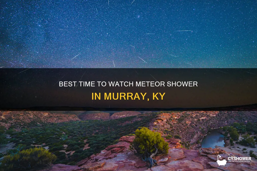 what time is best for meteor shower in murray ky