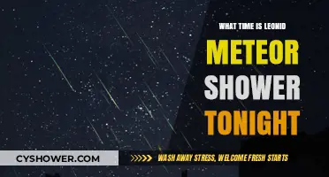 Leonid Meteor Shower Tonight: Peak Viewing Time and Tips
