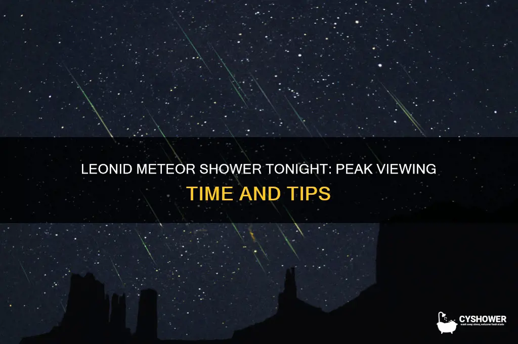 what time is leonid meteor shower tonight