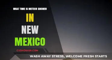 New Mexico Meteor Shower: Best Viewing Times and Locations
