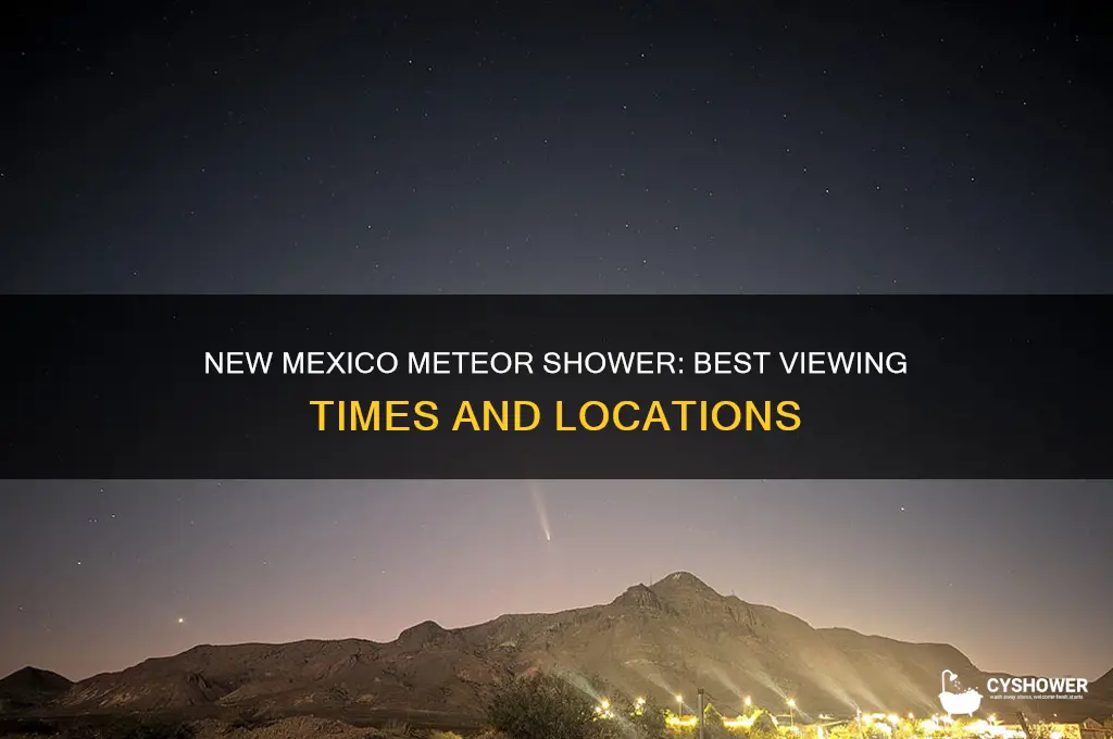 what time is meteor shower in new mexico