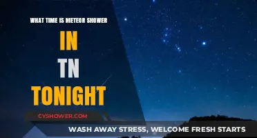 TN Meteor Shower Tonight: Best Viewing Time and Tips