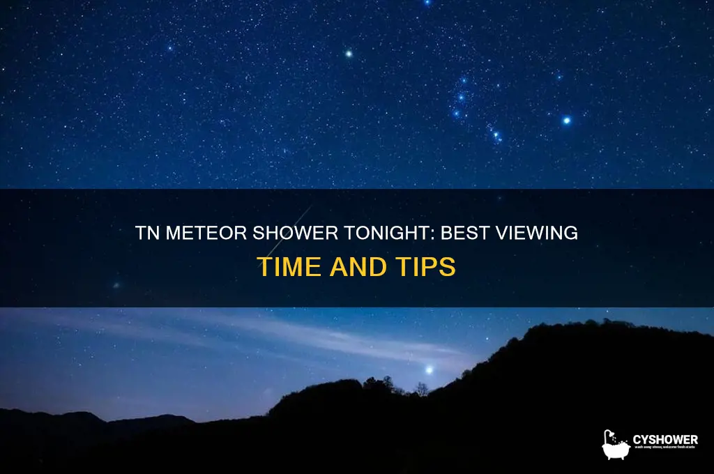 what time is meteor shower in tn tonight