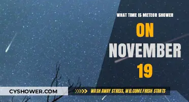 November 19 Meteor Shower: Peak Viewing Time and Tips