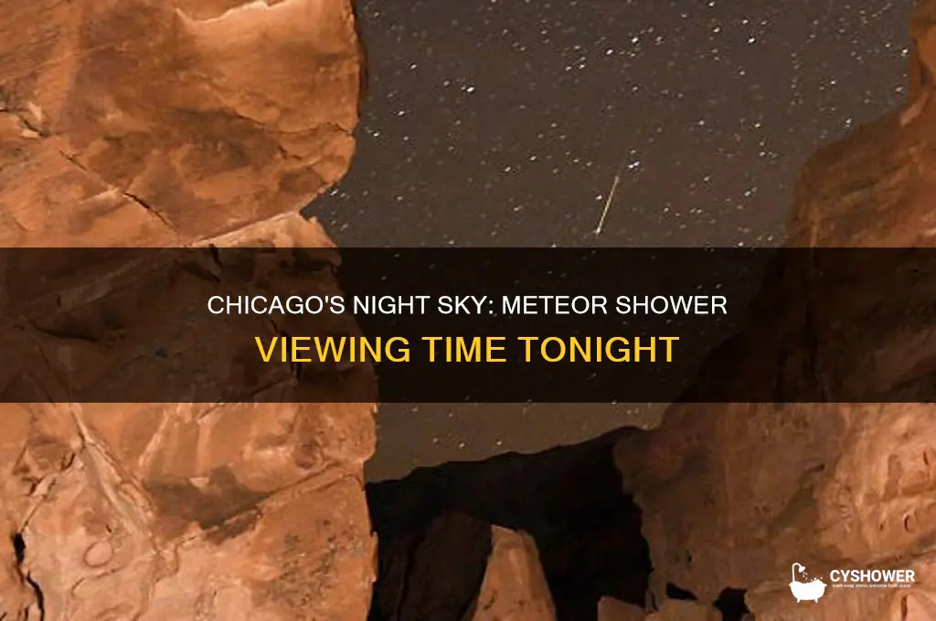 what time is meteor shower tonight chicago