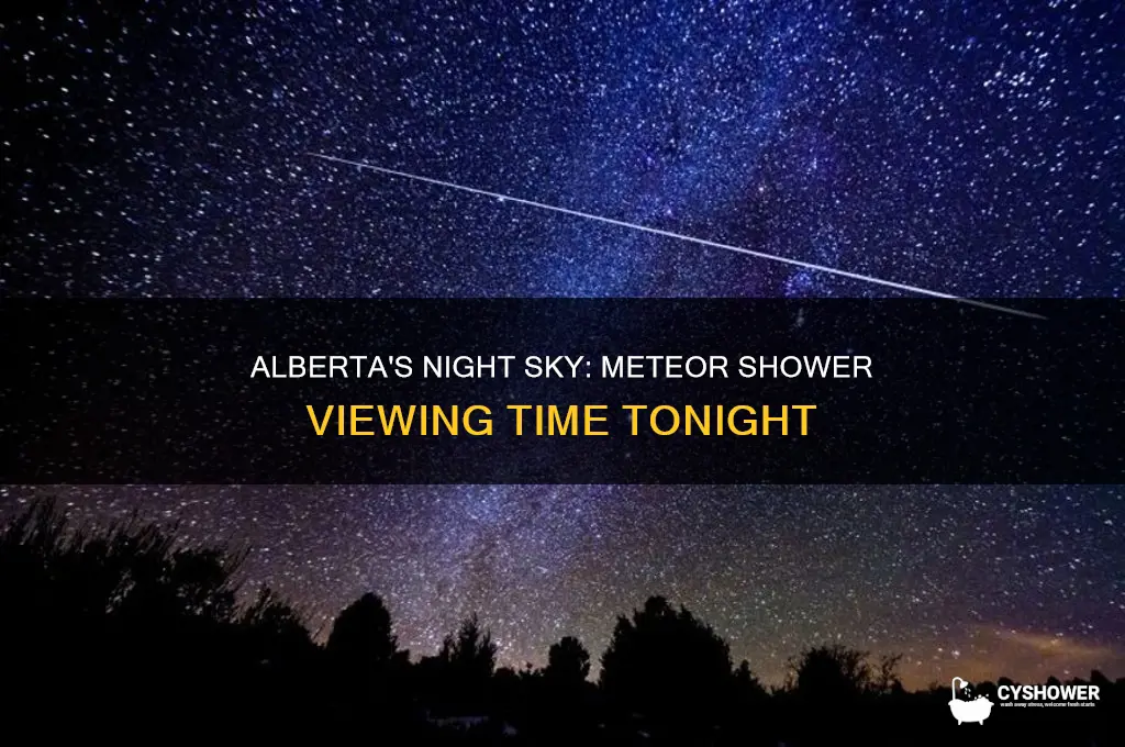 what time is meteor shower tonight in alberta