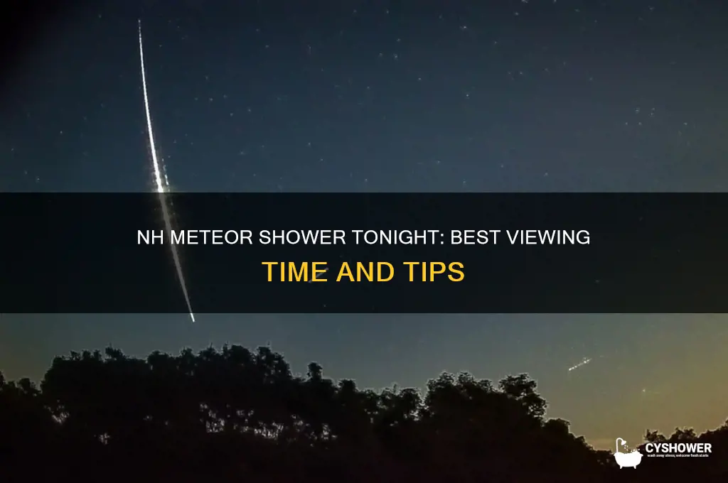 what time is meteor shower tonight in nh
