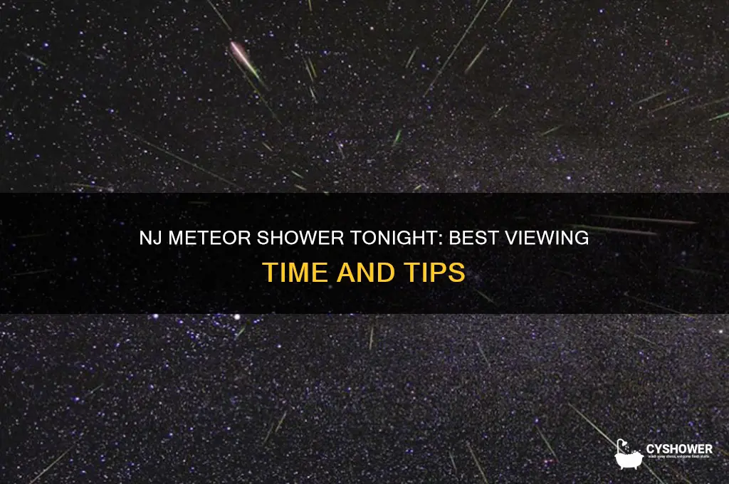 what time is meteor shower tonight in nj