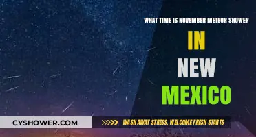 November Meteor Shower Viewing Time in New Mexico Skies