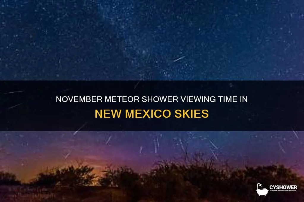 what time is november meteor shower in new mexico