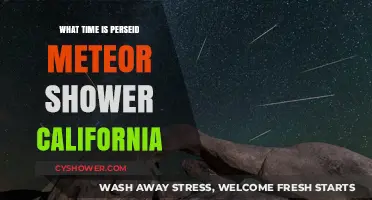 When to Watch Perseid Meteor Shower in California: Best Times