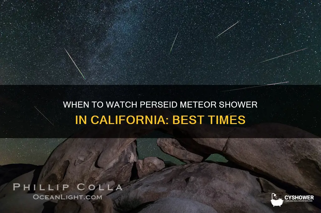 what time is perseid meteor shower california