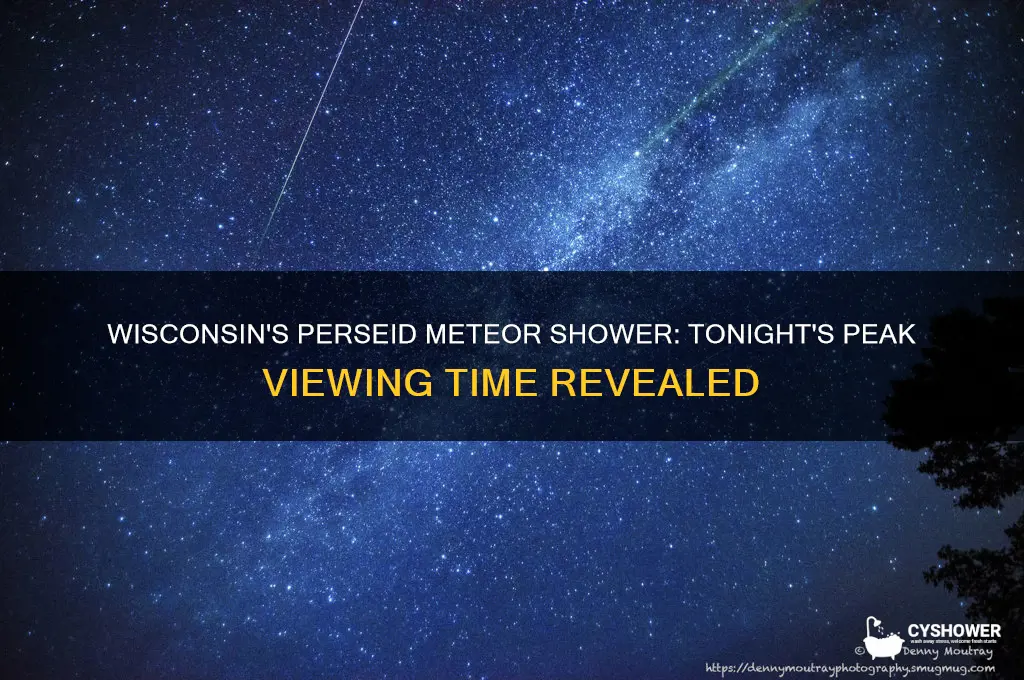 what time is perseid meteor shower tonight in wisconsin