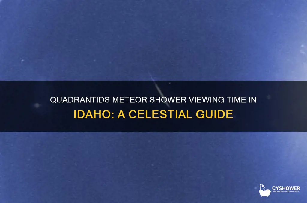 what time is quadrantids meteor shower in idaho