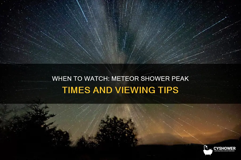 what time is rhe meteor shower
