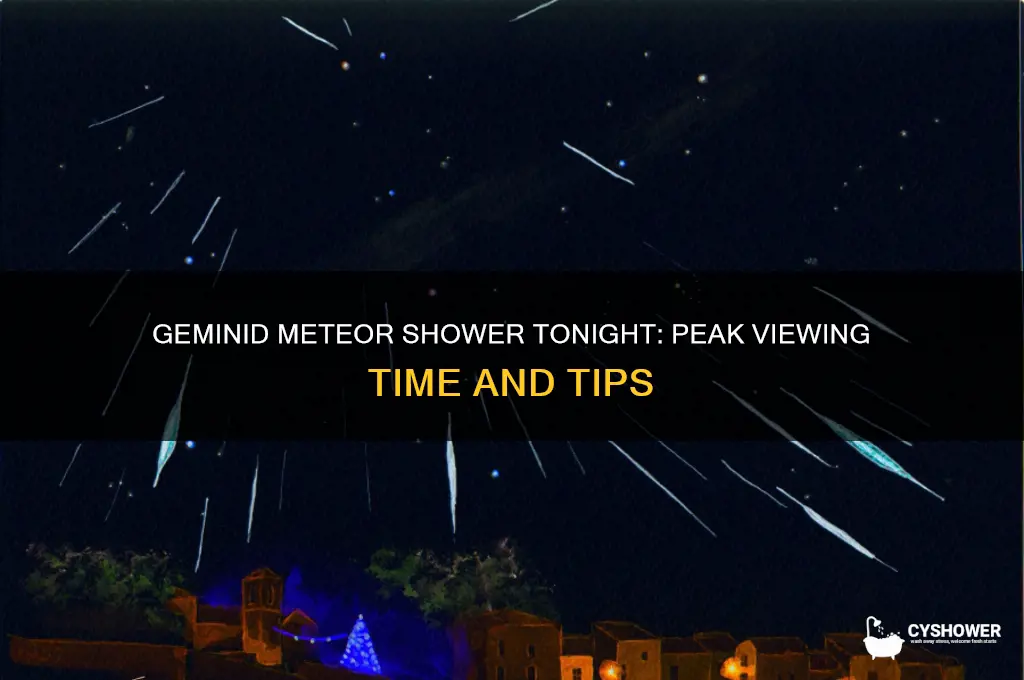 what time is the geminid meteor shower tonight