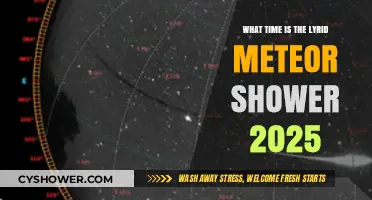 Lyrid Meteor Shower 2025: Best Time to Watch Shooting Stars