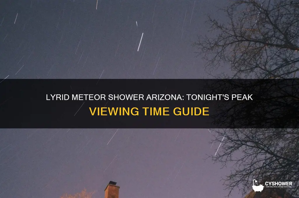 what time is the lyrid meteor shower in arizona tonight