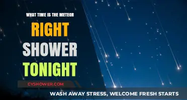 Tonight's Meteor Shower: Best Time to Watch the Celestial Show