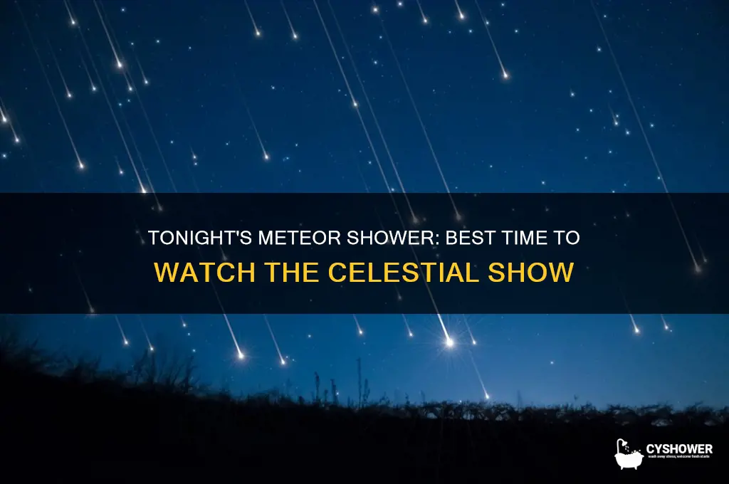what time is the meteor right shower tonight