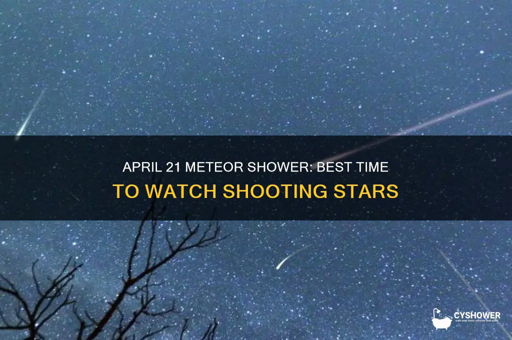 what time is the meteor shower april 21