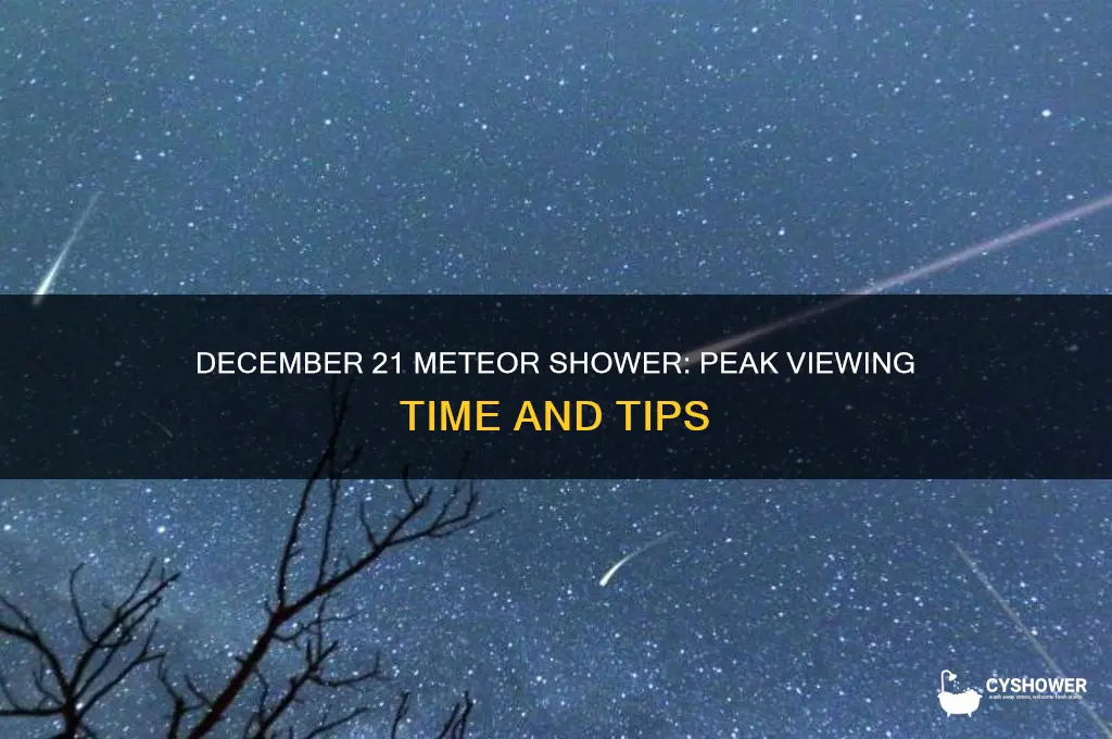 what time is the meteor shower dec 21