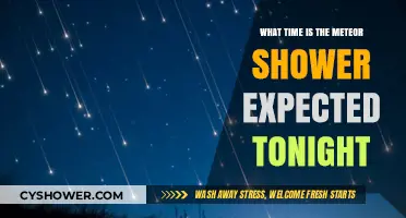 Tonight's Meteor Shower: Peak Viewing Time and Best Spots
