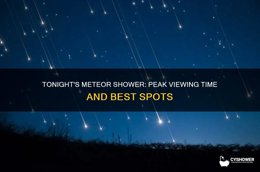 what time is the meteor shower expected tonight