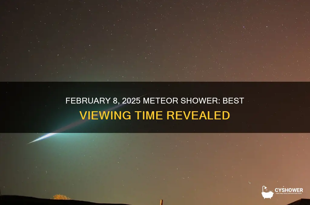 what time is the meteor shower feb 8 2025