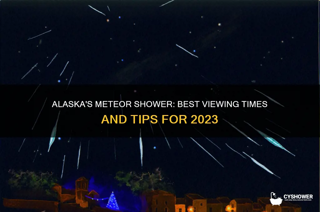 what time is the meteor shower in alaska
