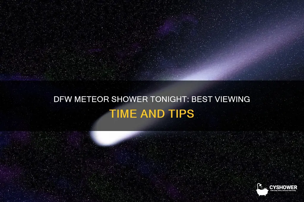 what time is the meteor shower in dfw tonight