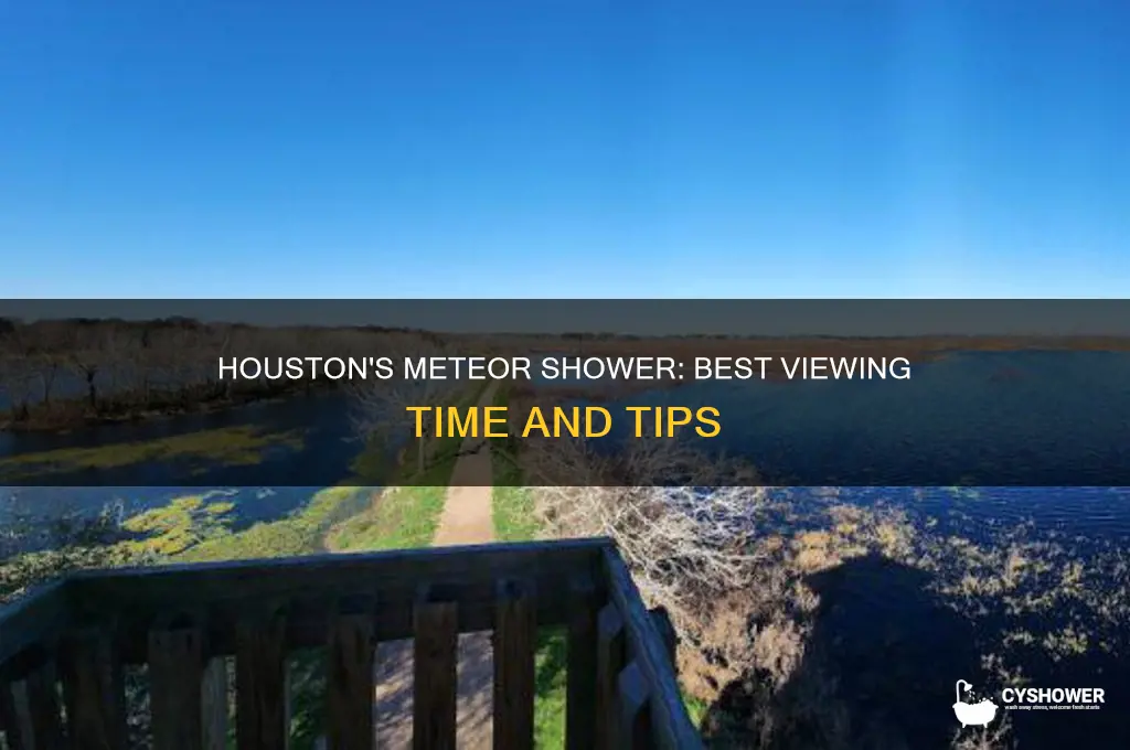 what time is the meteor shower in houston