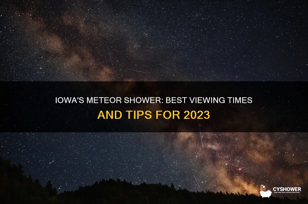 what time is the meteor shower in iowa
