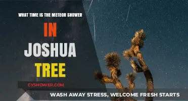 Joshua Tree Meteor Shower: Best Time to Watch the Night Sky