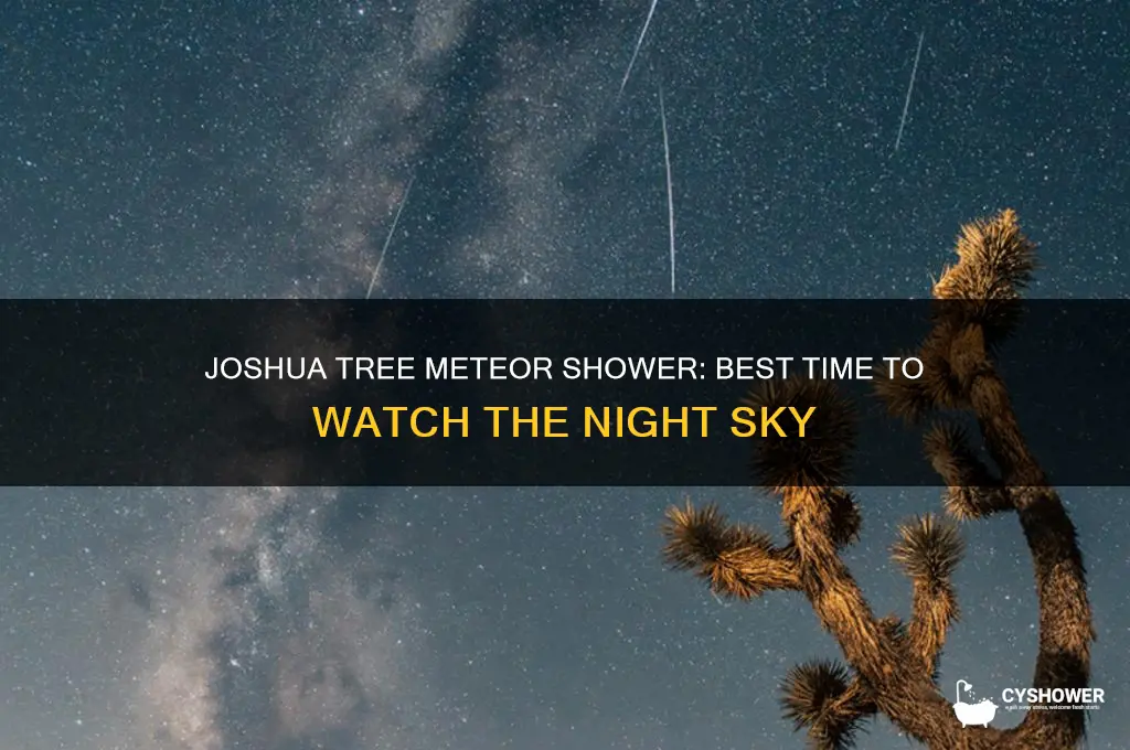 what time is the meteor shower in joshua tree