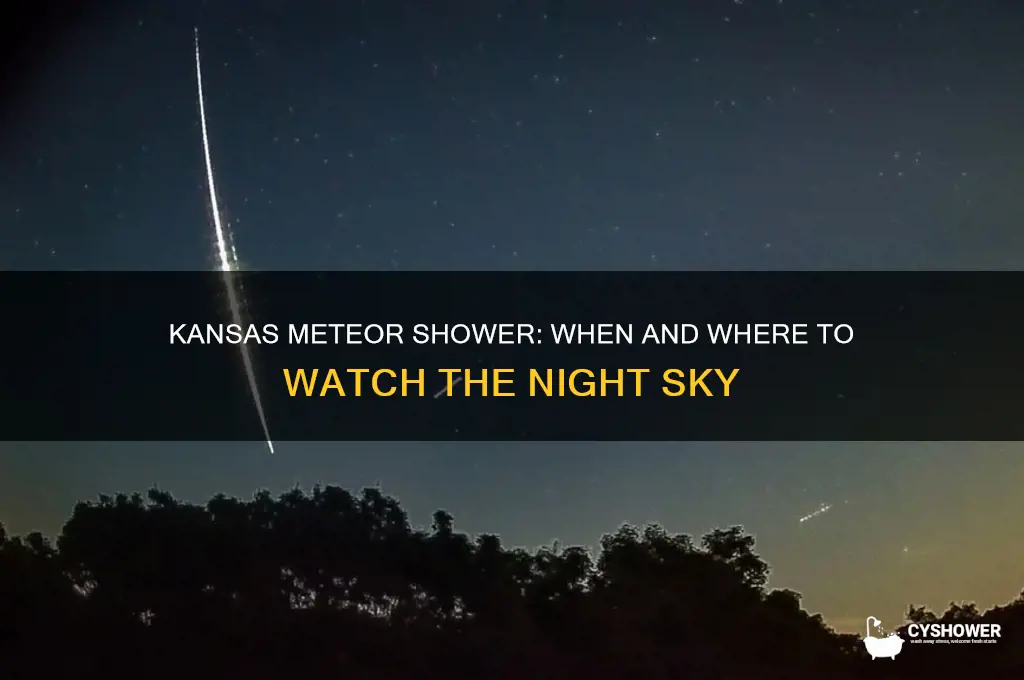what time is the meteor shower in kansas
