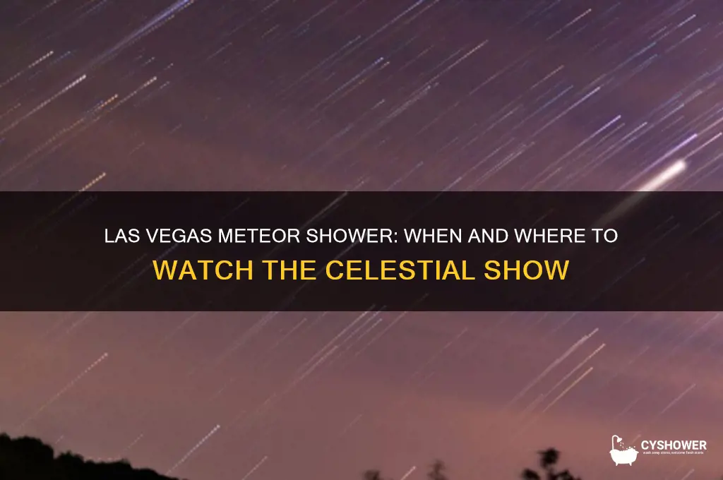 what time is the meteor shower in las vegas