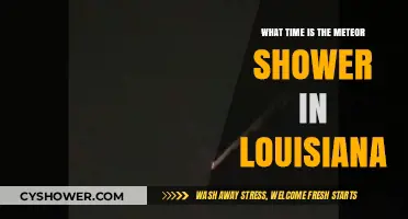 Louisiana's Meteor Shower: When and Where to Watch the Night Sky