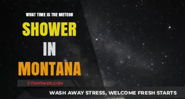 Montana's Meteor Shower: Best Viewing Time and Tips for 2023