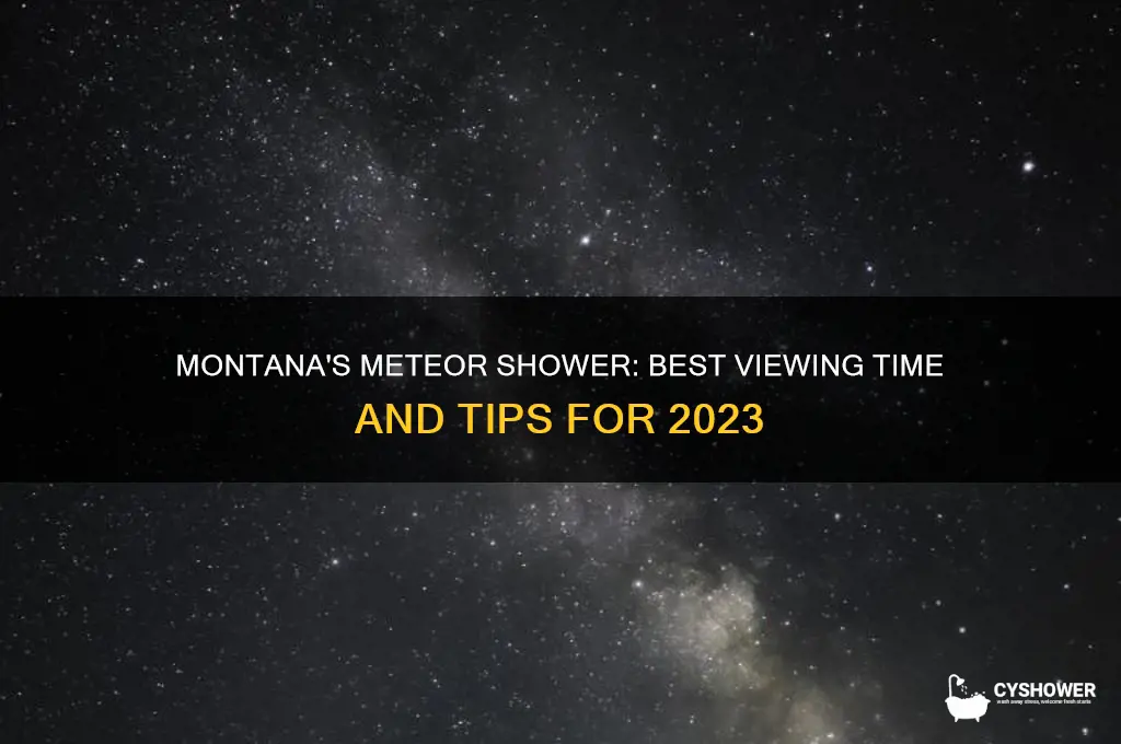 what time is the meteor shower in montana