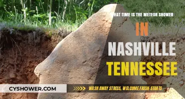 Nashville's Meteor Shower: When and Where to Watch the Night Sky
